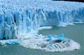 imagen: Calafate