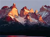 imagen: Calafate